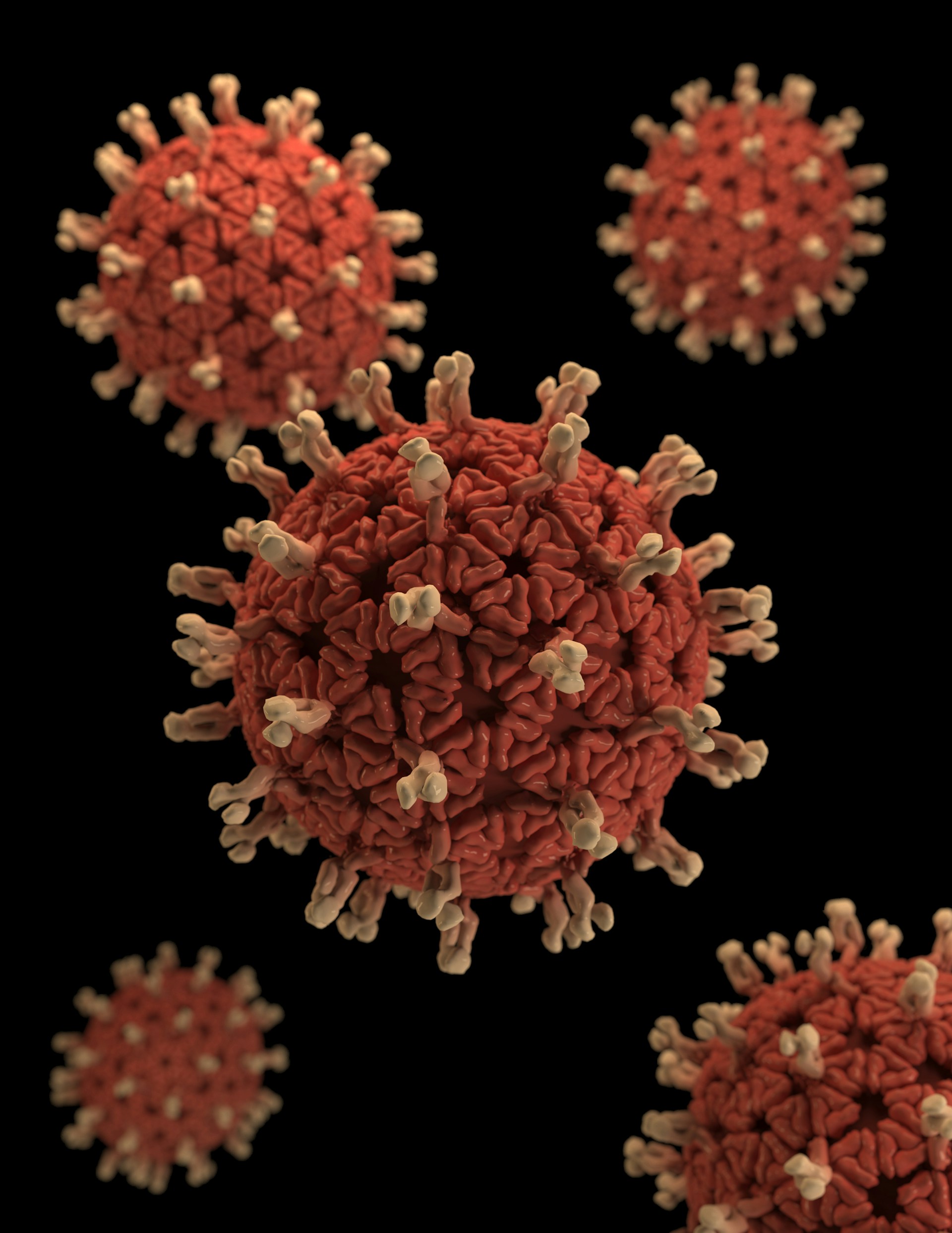 Foto de CDC en Unsplash Foto de CDC en Unsplash