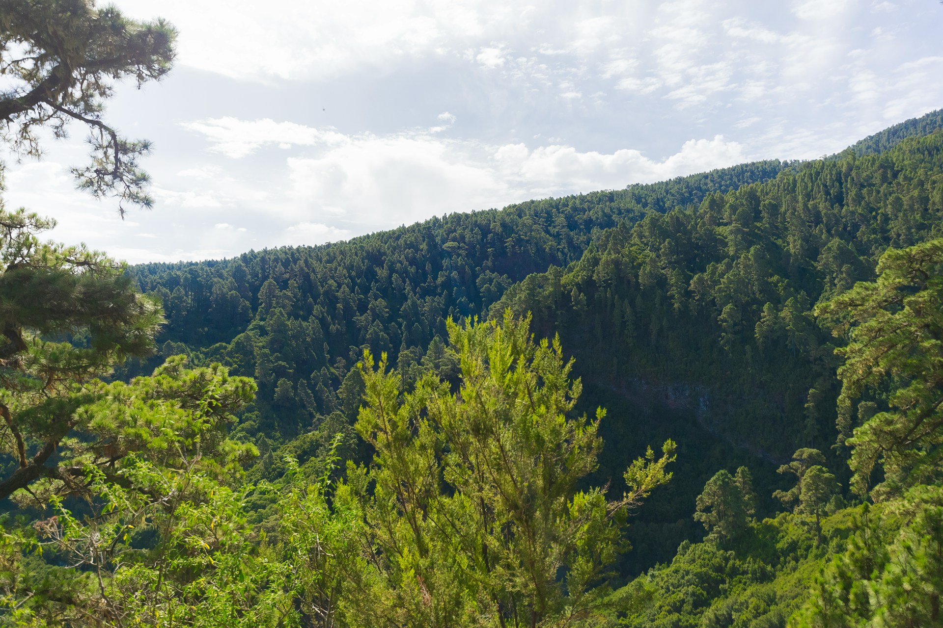 Foto de Luca N en Unsplash Foto de Luca N en Unsplash