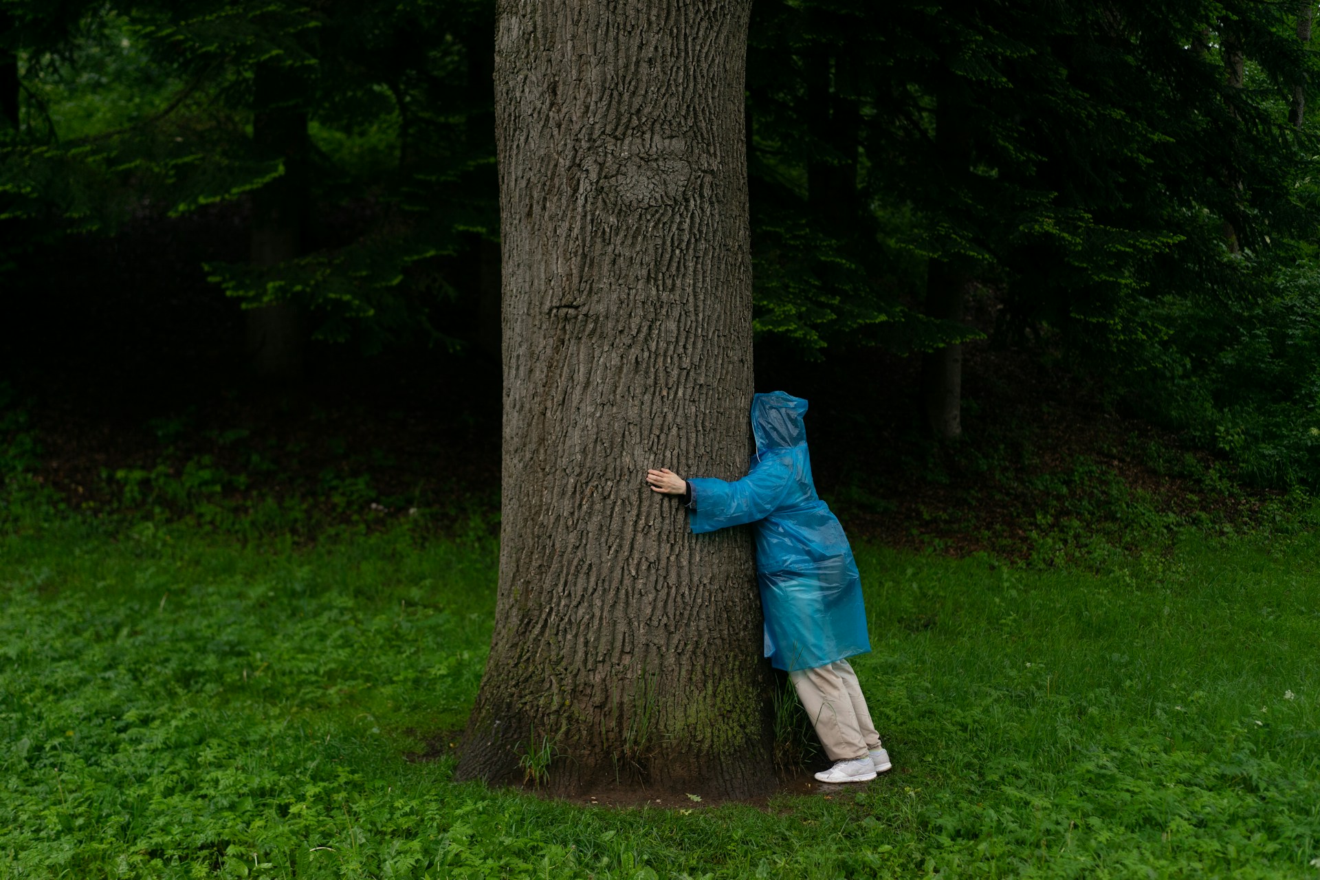 Foto de Kirill Tonkikh en Unsplash