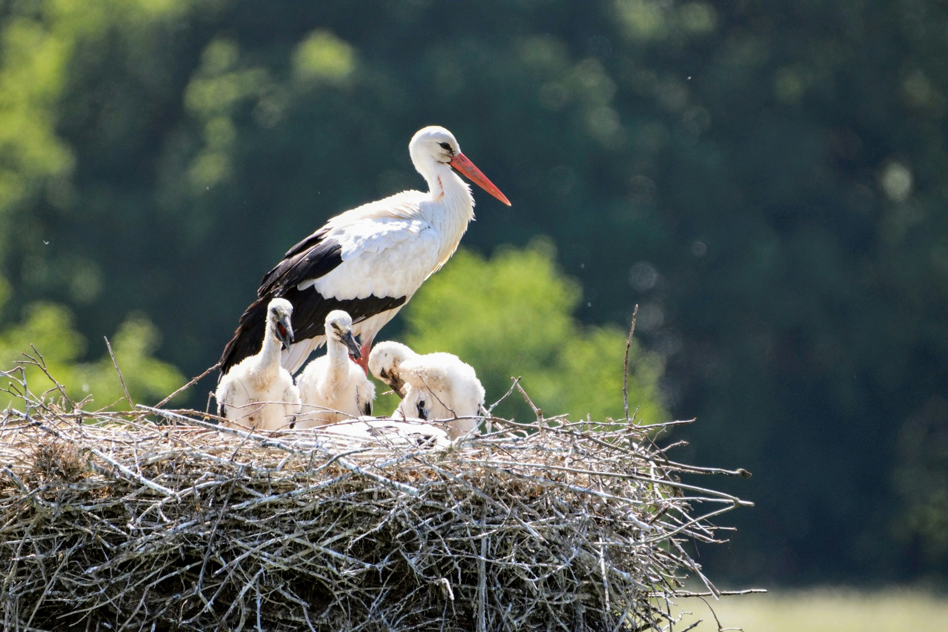 Foto de Maurice Schalker en Unsplash