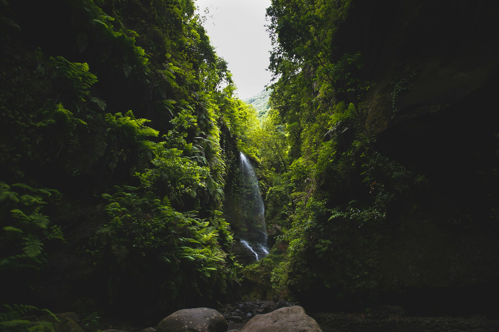 Foto de David Monje en Unsplash