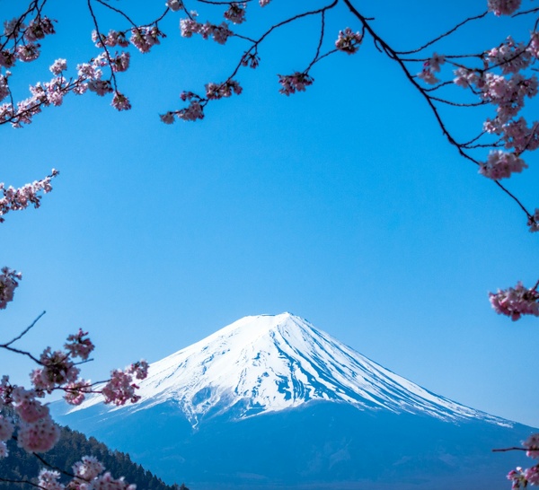 Japón 2025: Un viaje que despertó mi corazón