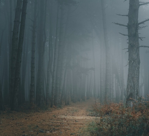 Los asaltantes del Camino: Los miedos