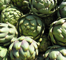 La alcachofa, un remedio para el hígado La alcachofa, un remedio para el hígado