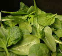 Espinacas, otro mito que cae Espinacas, otro mito que cae