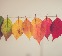 Estamos construyendo el futuro ¿te apuntas? Estamos construyendo el futuro ¿te apuntas?