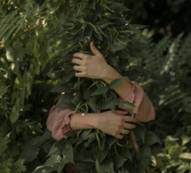 El espíritu de Gaia El espíritu de Gaia