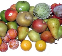 Las frutas y el ejercicio físico