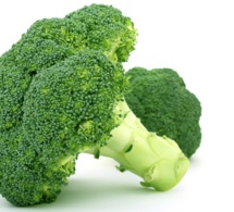 Brócoli, bróculi, brécol: El árbol vitamínico