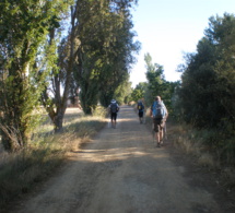 Cruce de caminos: El Camino de Santiago con "Corazón"