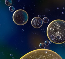 ¿Tienen memoria las células? ¿Tienen memoria las células?