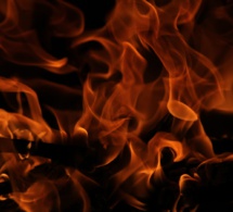 Incendios forestales