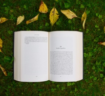 La sabiduría profunda de las palabras La sabiduría profunda de las palabras