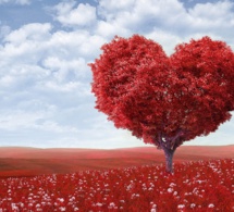 La necesidad hoy de amor universal e incondicional