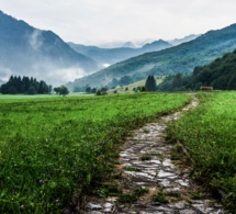 Muchos caminos, un solo destino