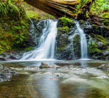 El arte de "cuidarte" en tiempos convulsos El arte de "cuidarte" en tiempos convulsos