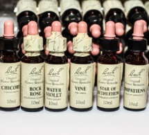 Flores de Bach: Un apoyo para el alma en tiempos de crisis
