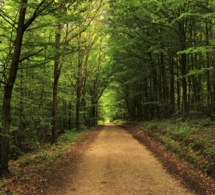 El Camino del Corazón: Volviendo la vista atrás El Camino del Corazón: Volviendo la vista atrás