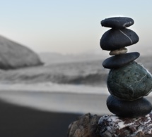 Dos cerebros buscando la armonía Dos cerebros buscando la armonía