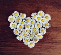 La coherencia cardíaca La coherencia cardíaca