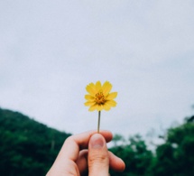 Nuevas emociones para una nueva sociedad Nuevas emociones para una nueva sociedad