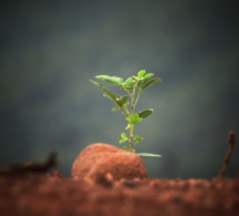 Transformando la Conciencia en Acción Transformando la Conciencia en Acción