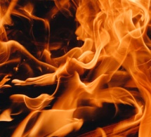 El descubrimiento del fuego El descubrimiento del fuego