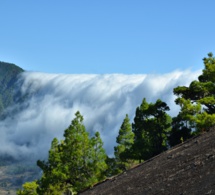 Propuesta de enfoque de atención para la isla de La Palma