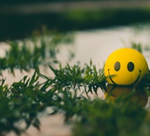 La importancia de la actitud