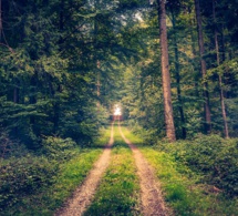 ¿Cuál es el buen camino en la vida? ¿Cuál es el buen camino en la vida?