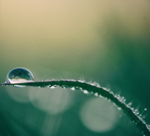 Fluir con la vida Fluir con la vida