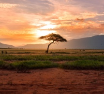 El Instituto HeartMath converge con la tradición sudafricana El Instituto HeartMath converge con la tradición sudafricana