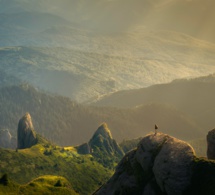 La experiencia radical La experiencia radical