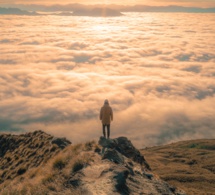 Pasar página Pasar página