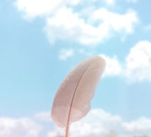 Sostener los sueños Sostener los sueños