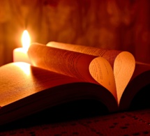 Vivir el Camino del Corazón Vivir el Camino del Corazón