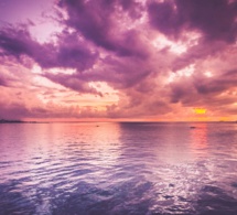 En busca de la inmortalidad En busca de la inmortalidad