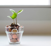 El alma del dinero El alma del dinero
