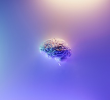 ¿Podemos reprogramar nuestro cerebro?