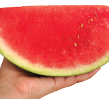 TOMATOIDE: La magia natural de las Frutas y las Hortalizas