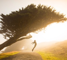 Capacidad de volar Capacidad de volar