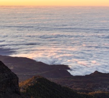 La Palma Mágica: Un viaje iniciático al corazón de La Palma a través de los cuatro elementos La Palma Mágica: Un viaje iniciático al corazón de La Palma a través de los cuatro elementos