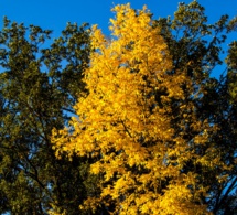 El estoicismo aplicado a la vida diaria El estoicismo aplicado a la vida diaria