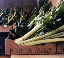Proyecto "Horta del Rajolar" Proyecto "Horta del Rajolar"
