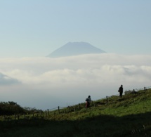 El Camino del Corazón