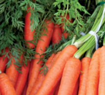 Zanahorias Zanahorias