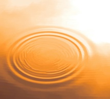 La espiritualidad natural, la ética, el cuidado de la casa común La espiritualidad natural, la ética, el cuidado de la casa común