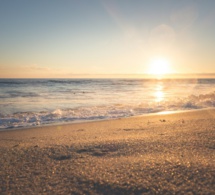 Cerrado por vacaciones del 20 de julio hasta el 31 de agosto