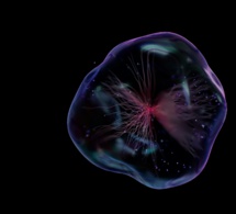 Vivir como una célula Vivir como una célula