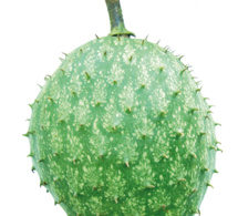 Guanábana, ¿la fruta milagrosa?